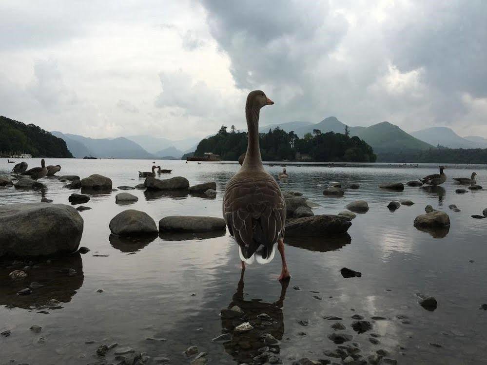 格伦代尔住宿加早餐旅馆 凯西克 外观 照片